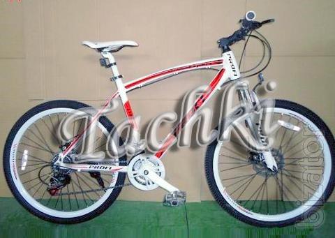 The sports bike 26" Expert 