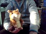 Talking hamster is a poser 