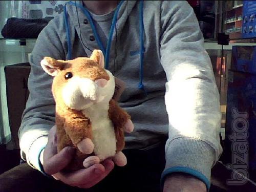 Talking hamster is a poser 