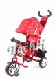 Bike Lexus Trike tricycle sun 17 In 