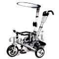Bike tricycle M 0594