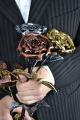 Forged roses wholesale and retail!Free delivery to Ukraine!Click! 