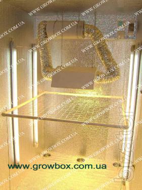Growbox in Ukraine 