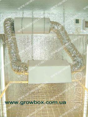 Growbox in Ukraine 
