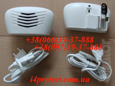 How to get rid of mice in the area and in the house, the fight against rats, mice and cockroaches 