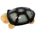 Tortoise starry sky projector great music