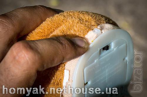 Talking hamster Kharkov , WoodyOTime - the original ! The shipping is free. 