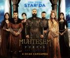 All the series on DVD at the lowest prices