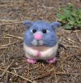 Hamster Hamster