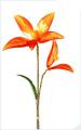 Sale of Souvenirs, sale of Souvenirs and gifts, production and sale of Souvenirs 