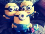 Minions Plush Complete with cartoon "Despicable me"