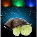 The Night Light Turtle 