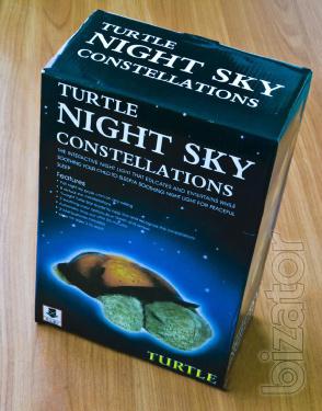 The Night Light Turtle 