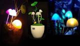 Nightlight "Avatar. Mushrooms Pandora" 
