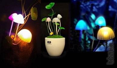 Nightlight "Avatar. Mushrooms Pandora" 