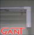 Electric-GANT 