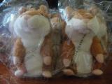 Talking hamster in Odessa! Batteries as a gift! 