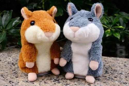 Talking hamster in Odessa! Batteries as a gift! 