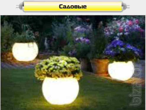 Exclusive lamps of all types 