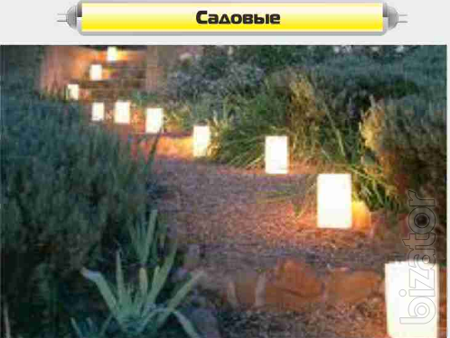 Exclusive lamps of all types 