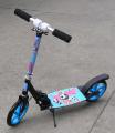 Children's sporting goods: bicycles, roller skates, scooters, skateboards