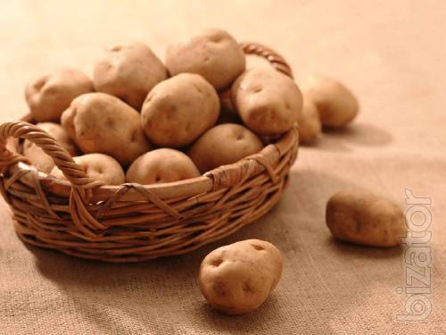 Sell potatoes in bulk. 
