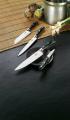 Action! Kitchen knife set Victorinox 7.7243.6 + Gift Asti Martini 