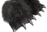 cool sneaker claws 
