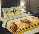 Bed linen poplin "king"