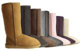 ugg boots, buy ugg boots, original ugg boots , uggs , beautiful shoes , winter shoes 