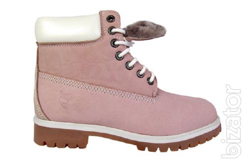 Qualitative models of Timberlands 