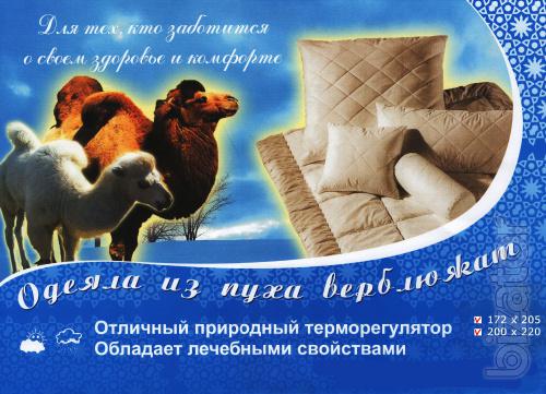 Quilted blankets from down colts Simferopol 