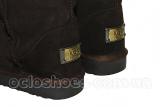 The hit of the winter 2014! boots UGG Classic Tall in three colors 