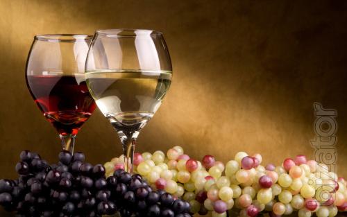 A true celebration of true Italian wine and Martini 