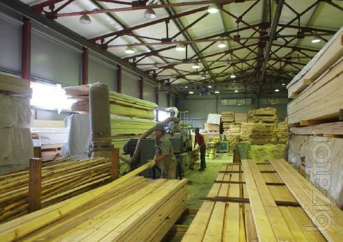 Cut pine lumber 