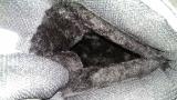 Sell new Adidas winter sneakers with fur R-R 41-45 (100106) 