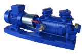 The single-stage liquid ring vacuum pumps type PW (Poland)