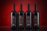 Продам вино Merlot, Castelli Romani, Nero d'avola, Sparkling 1.5 L Продам вино Merlot, Castelli Romani, Nero d'avola, Sparkling 1.5 L
