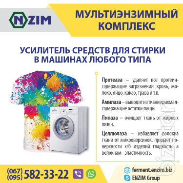 Multienzyme complex Enzim - Amp Laundry detergents (stain remover) 