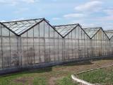 Sell greenhouses "Anthracite" used Sell greenhouses "Anthracite" used