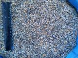 Sell waste (corn, oats, peas, lupine, millet) Sell waste (corn, oats, peas, lupine, millet)