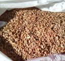 Wheat in bags to feed cattle, pigs and agricultural birds Wheat in bags to feed cattle, pigs and agricultural birds