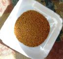 Seeds Golden flax Goldberg 1P Seeds Golden flax Goldberg 1P