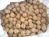 Sell walnuts from my garden - more than 100 kg. Sell walnuts from my garden - more than 100 kg.
