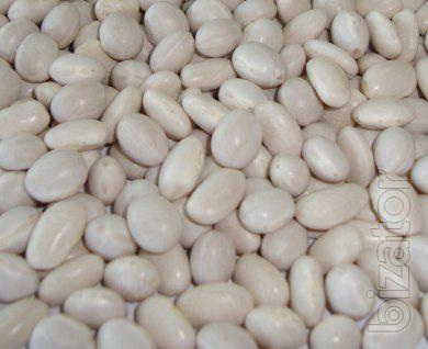 Buy beans large, small wholesale. 