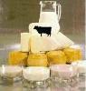 Dairy products 