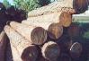 round timber 