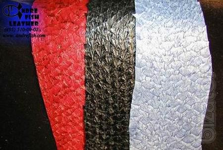 Leather fish tannery 