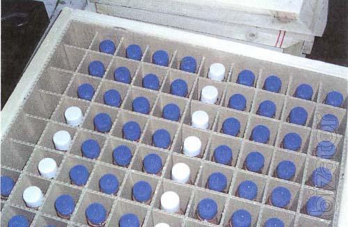 Copper powder 99.998% purity 