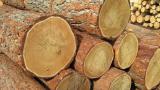 Delivery of wood products from Russia 